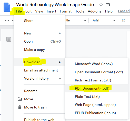 PDF google doc