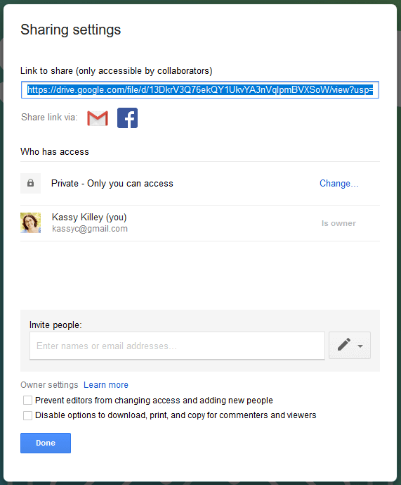 google drive sharing options