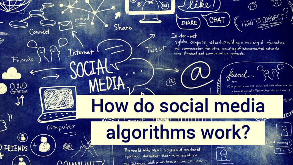 how do social media algorithms